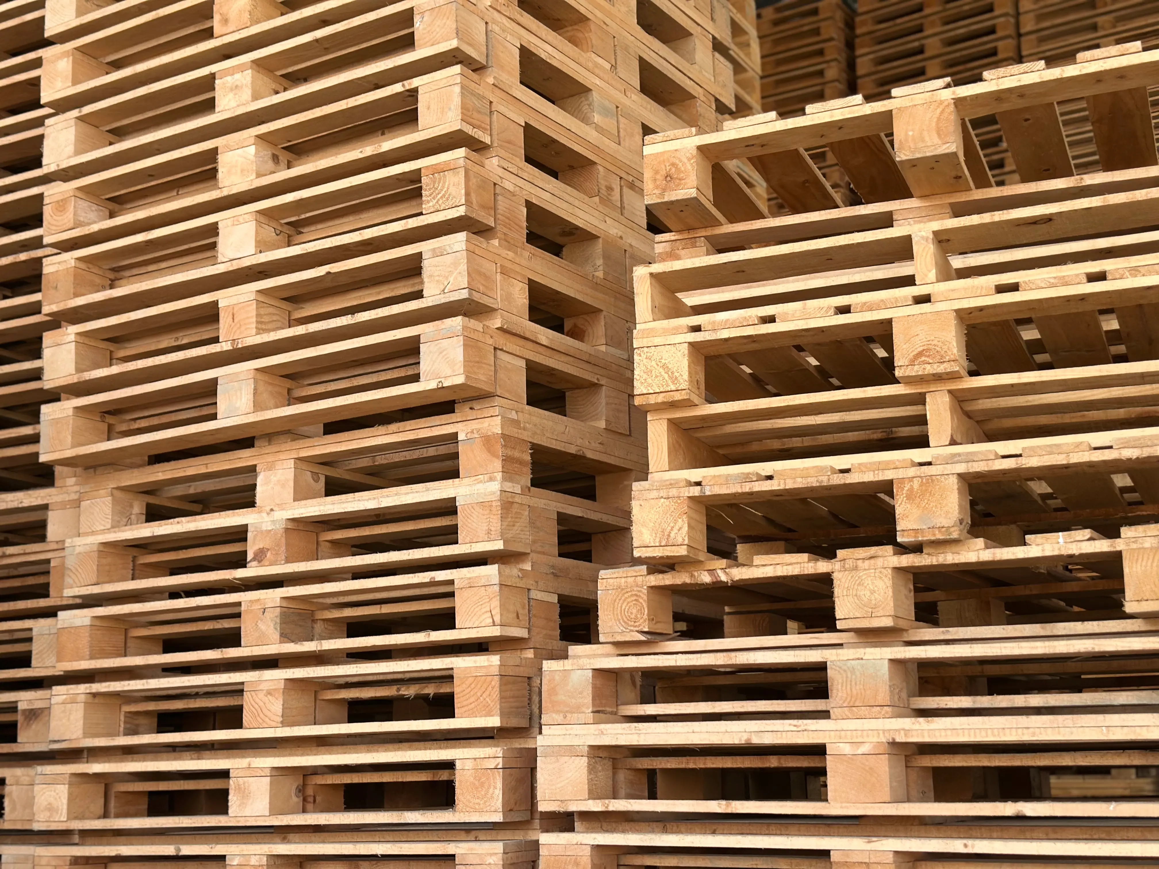 Pallet de madera individual listo para uso industrial