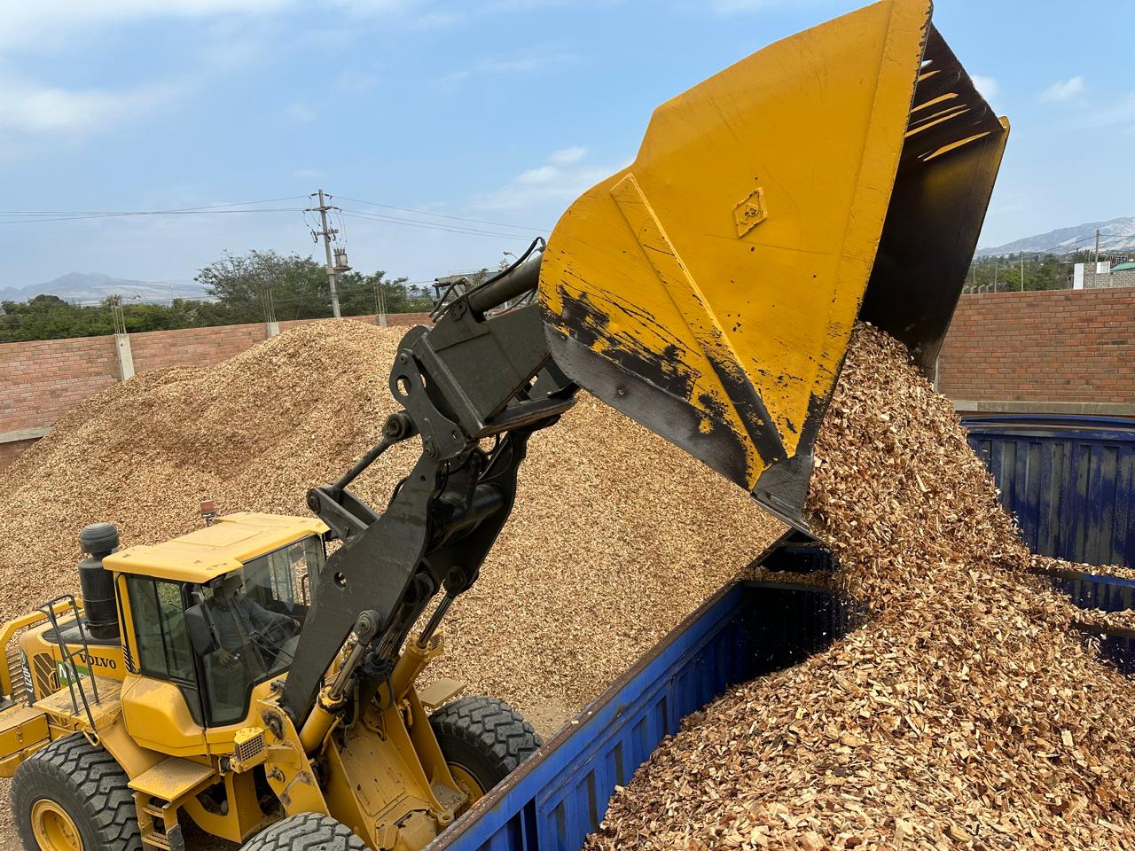 Proceso de producción de chips de corteza de pino en Perú Palets